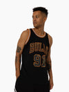 Dennis Rodman 1998-99 Chicago Bulls Wilderness Swingman Jersey