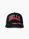 Chicago Bulls Double Up Flex 110