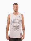 Dennis Rodman 1995-96 Chicago Bulls Snow Camo Swingman Jersey