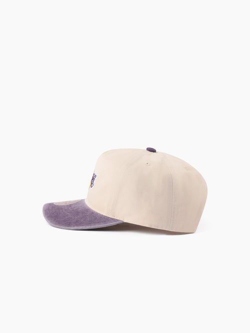 MNLL00667_IPURPLE001_4_ytf0el_1779688661