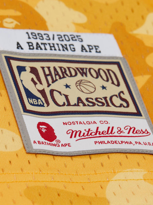 MNLL16905_YLW0000_5_z49zoe_1762298411