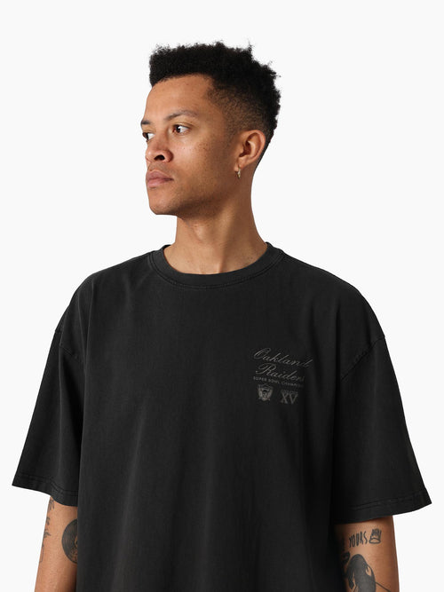 MNLR4018_BLK4006_2_viilgd_1761193047