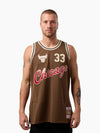 Scottie Pippen 2003-04 Chicago Bulls Swingman Jersey